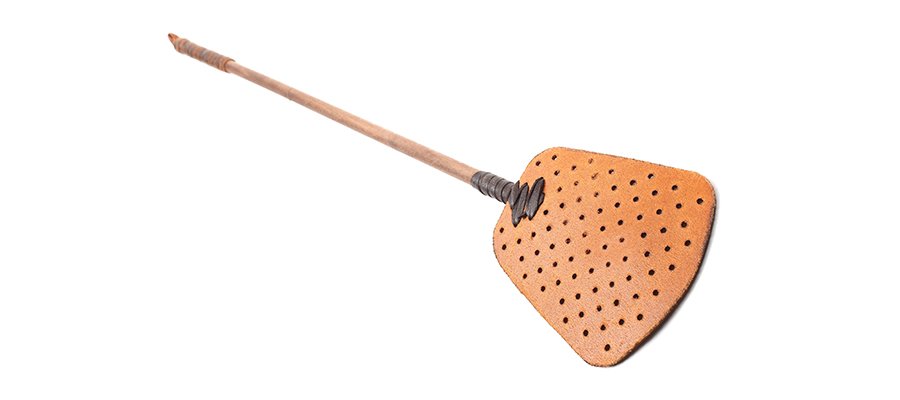 fly swatter